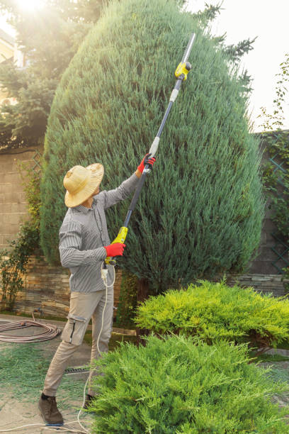 Best Tree Trimming and Pruning  in Panther Valley, NJ